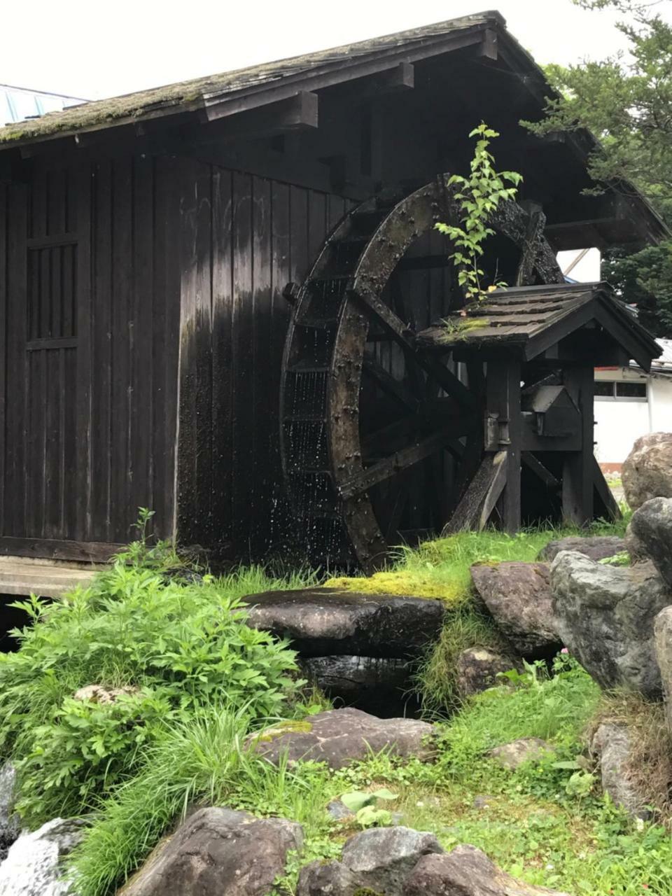 Community House Tyrolien 호텔 하쿠바 외부 사진